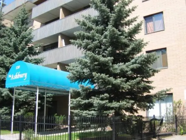 A large tree in front of a building.